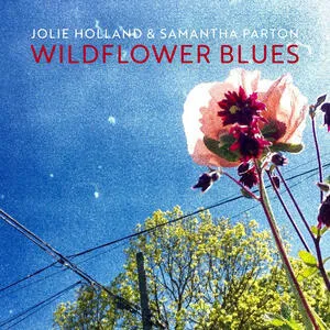 Wildflower blues
